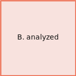 B. analyzed